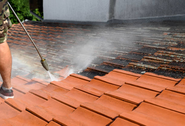 Best Power Washing Near Me  in Granite Falls, MN